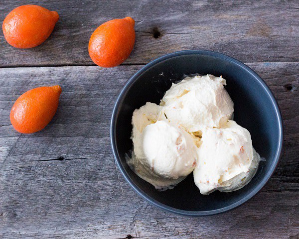 25 Delicious Frosty Summer Desserts Round up - Kumquat Ice Cream