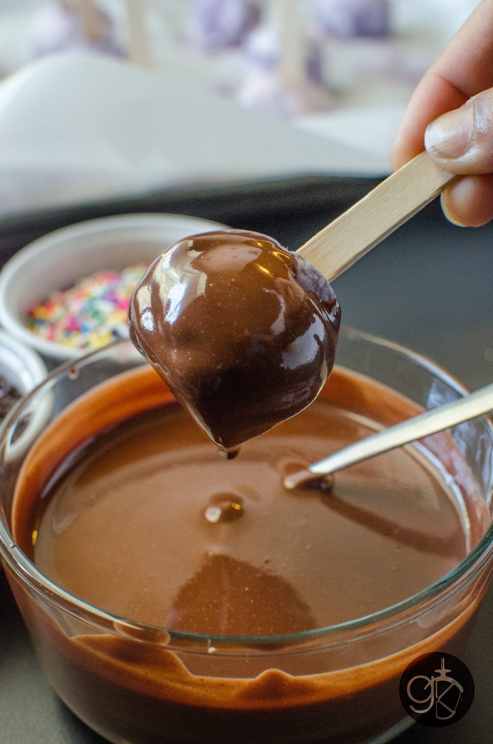 Froyo and Ice Cream Pops with Chocolate Dipping Station