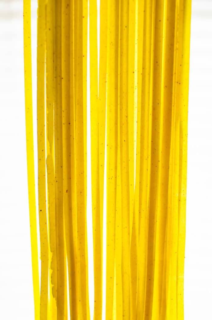 Homemade Turmeric Pasta - The Flavor Bender