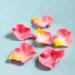 Several edible fondant rose petals on a small green plate.