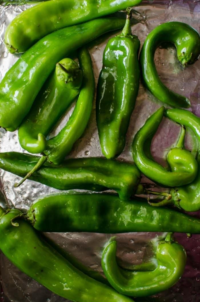How to Roast Hatch Chile in the Oven The Flavor Bender