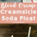 Blood Orange Creamsicle Soda Float - Creamy, citrusy, sweet & refreshing and is a favorite for both kids and adults alike, summer or winter. A great drinks and dessert in one. Perfect for parties with big crowds and even for Valentine's day.
