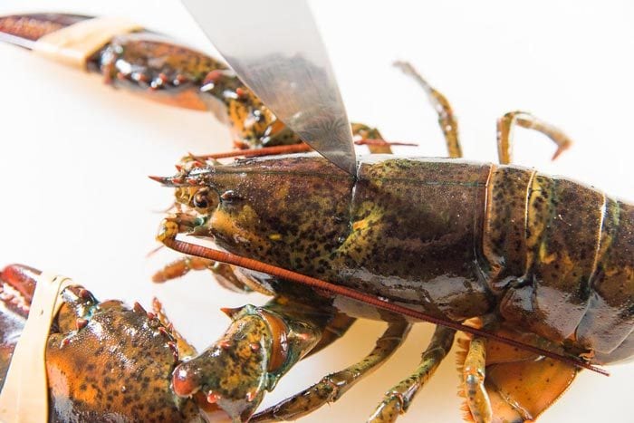 How To Cook Lobster Perfectly The Flavor Bender