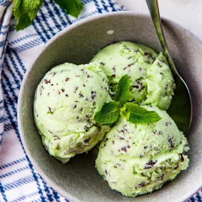 The Best Mint Chocolate Chip Ice Cream  - delicious minty ice cream with melt in your mouth peppermint chocolate pieces! Perfect summer treat!