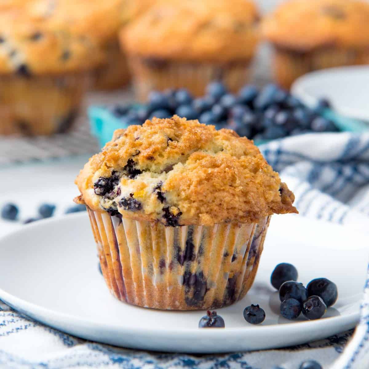 Healthy And Delicious Blueberry Muffins For You