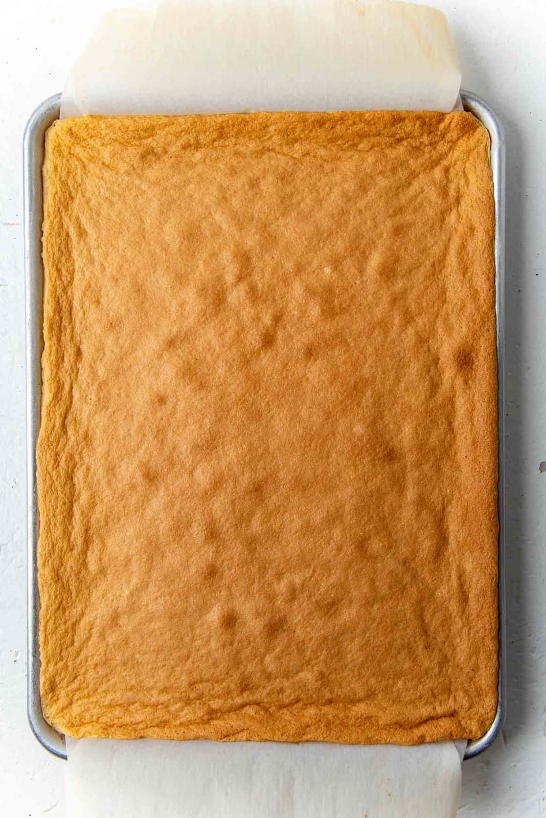 Overhead view of freshly baked cake roll sheet