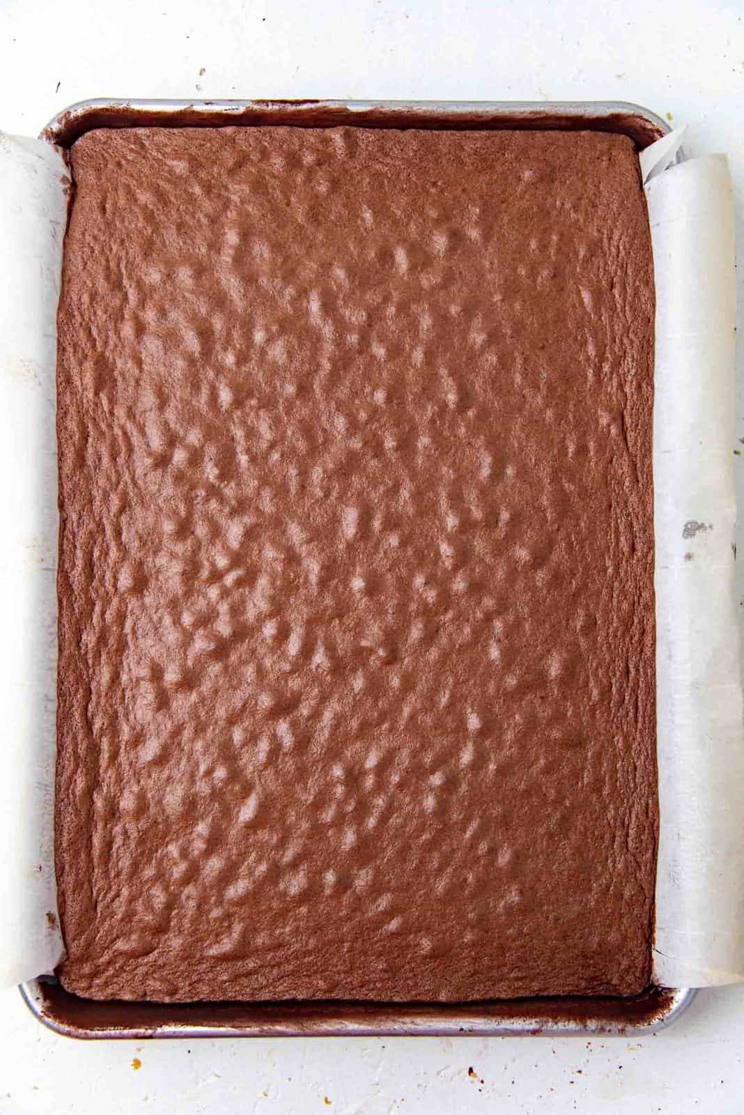 Freshly baked chocolate sponge cake for swiss roll