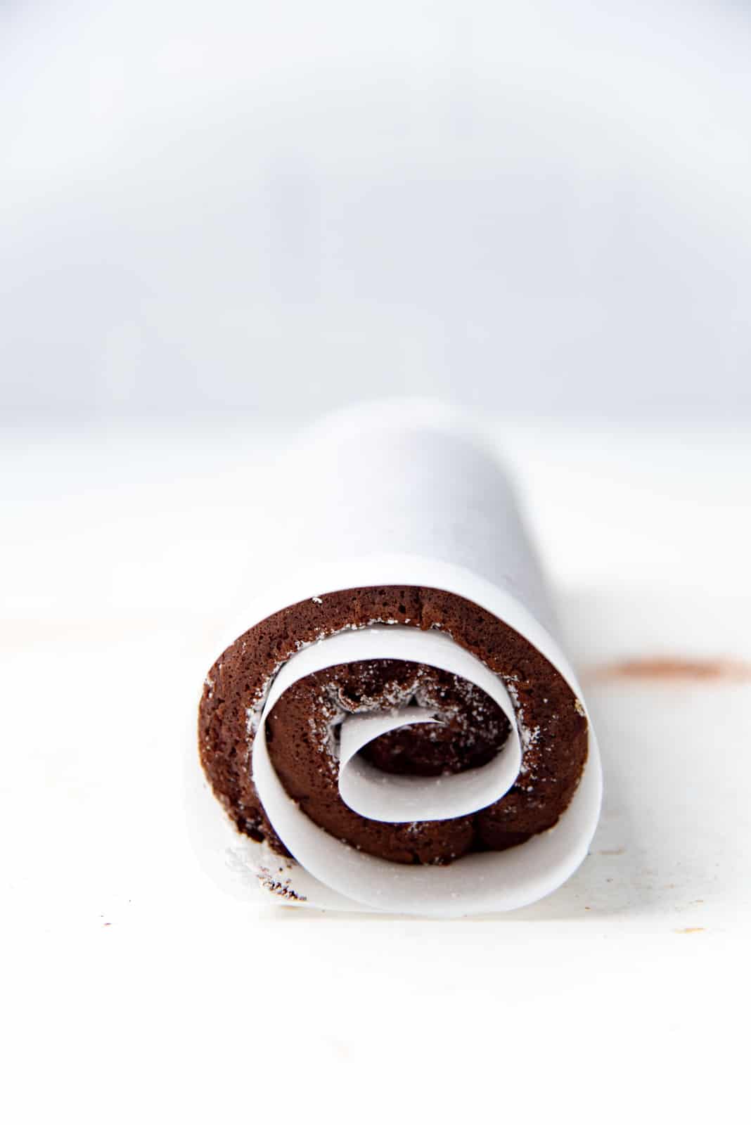 Swiss roll cake rolled up in parchment paper without filling