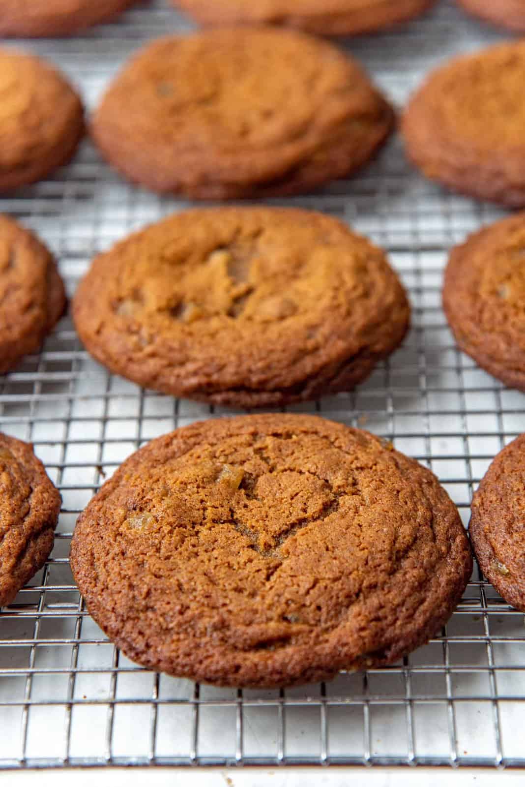 Chewy and soft ginger cookies cooling on a wire rack