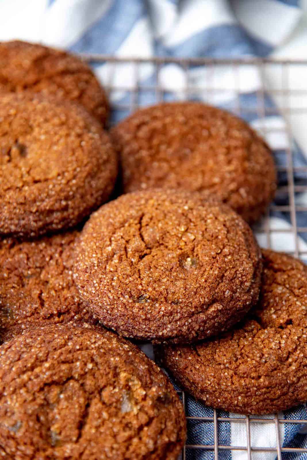Close up of the sugar rolled ginger cookie