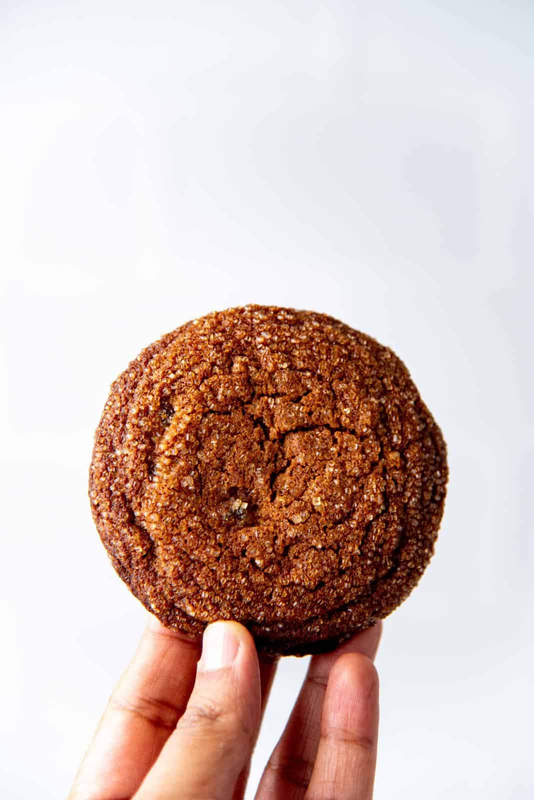 Holding up a soft ginger molasses cookie