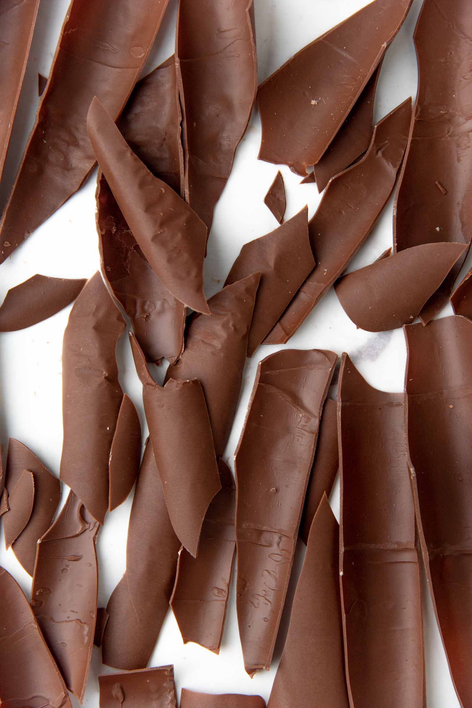 B che de No l  Yule Log Cake  - 28
