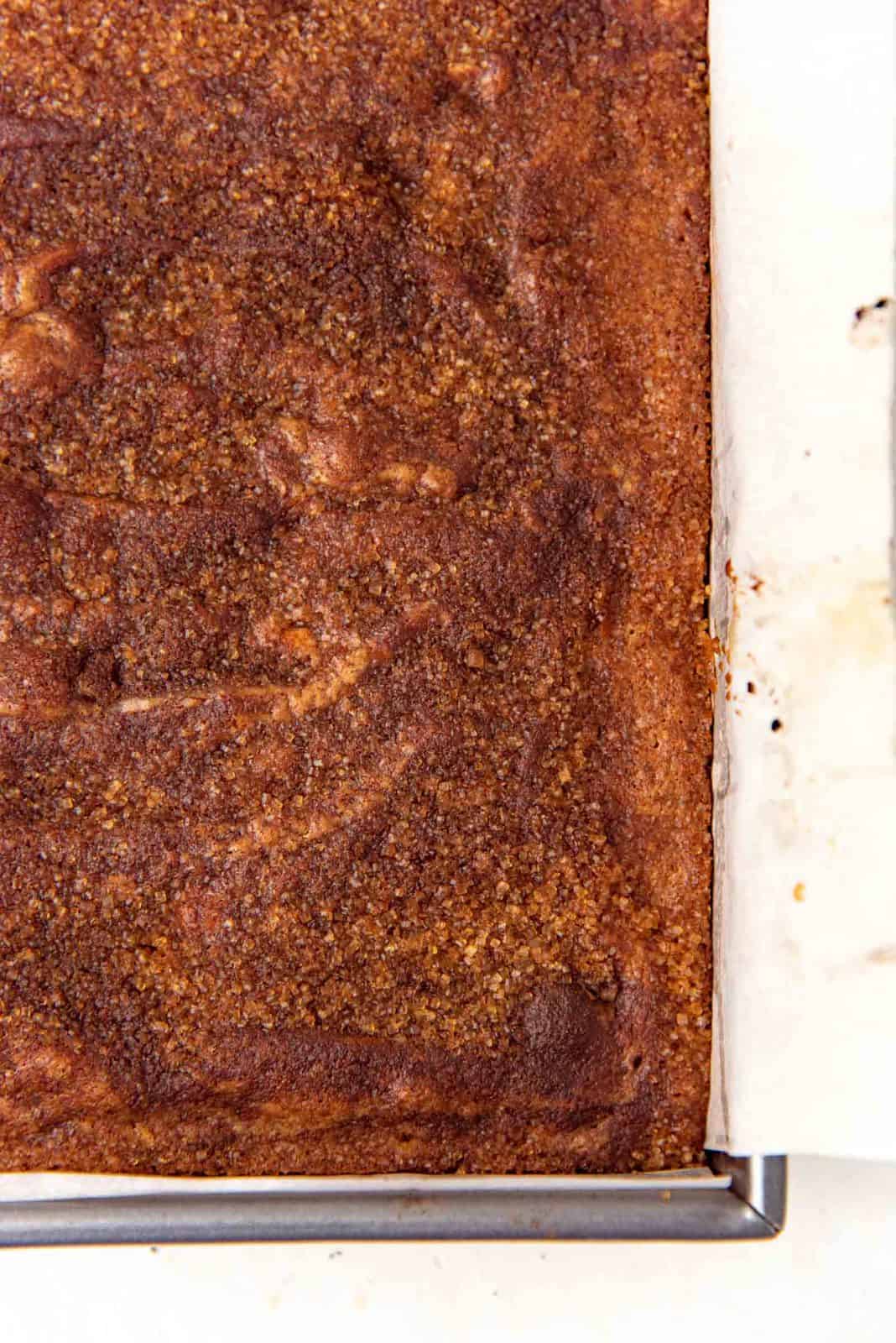 Overhead view of the freshly baked snickerdoodle blondies