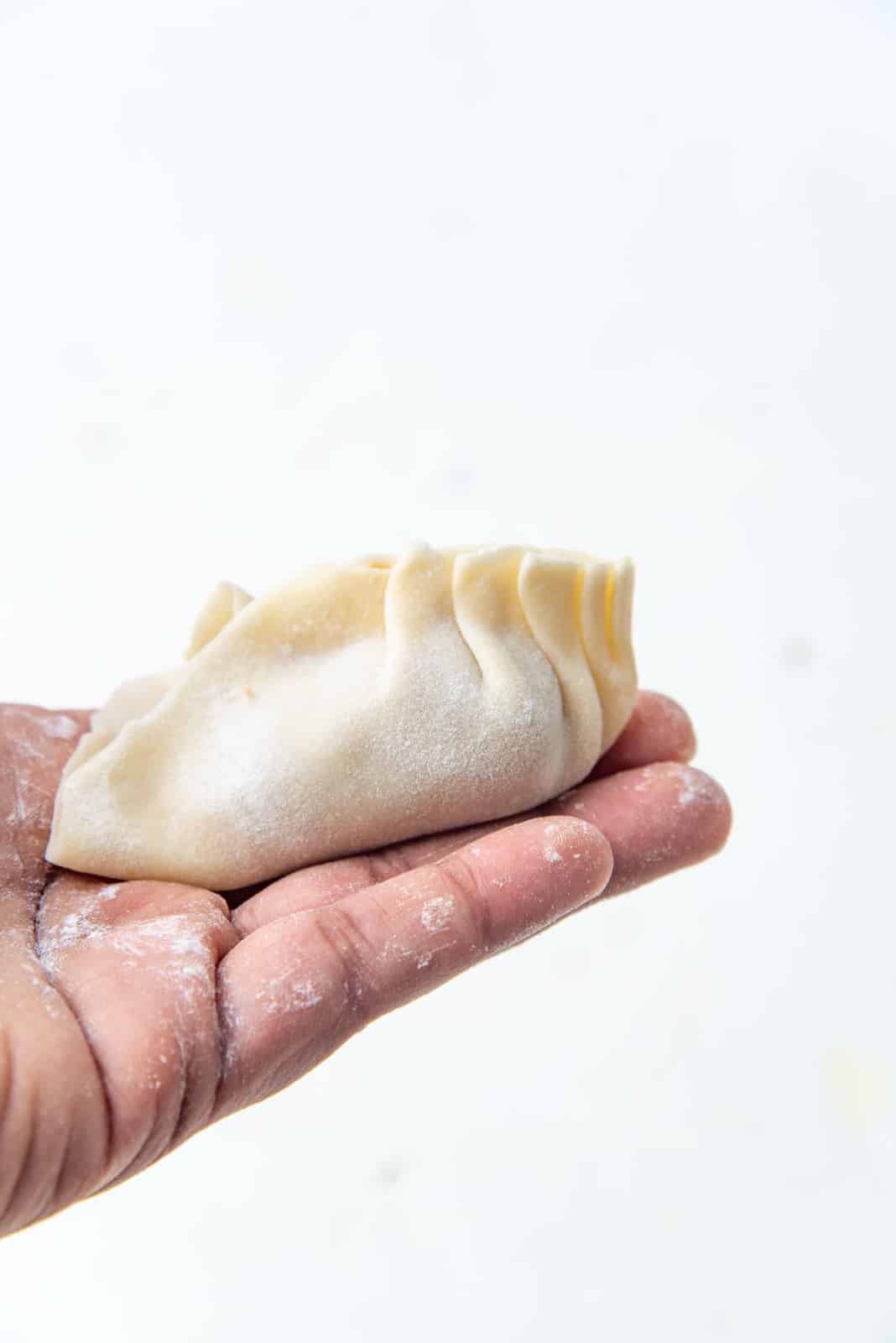 Juicy Steamed Chicken Dumplings - 39