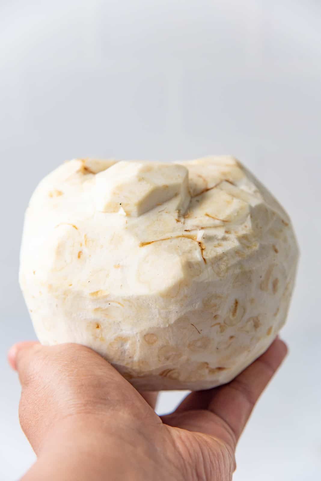 A hand holding up a peeled celeriac.