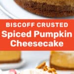 social media pumpkin cheesecake