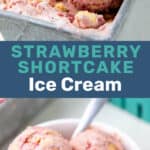 Strawberry shortcake ice cream SM.