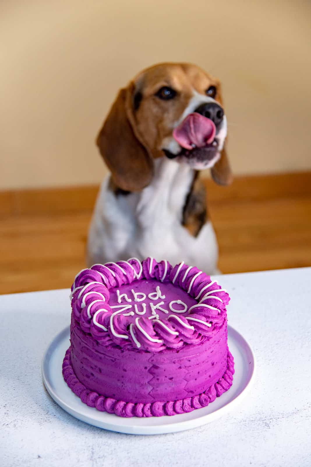 Homemade Dog Cake  Dog Meatloaf Cake  - 11