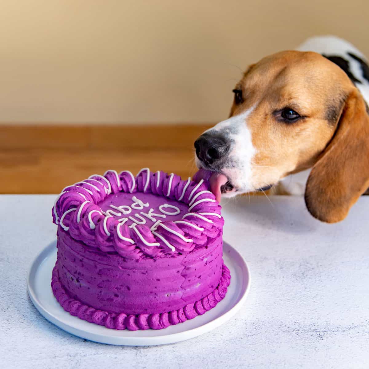 Homemade Dog Cake (Dog Meatloaf Cake) - The Flavor Bender