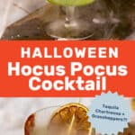 Hocus Pocus Halloween cocktail pin.