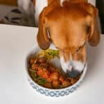 A dog eating meatballs made out of dog-friendly and healthy ingredients from a bowl.