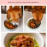 Meatballs For Dogs  Dog friendly Spaghetti and Meatballs  - 84