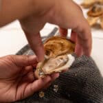 Separating the top shell of an oyster from the bottom shell and meat.