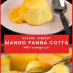 A creamy mango panna cotta on a plate with a shiny mango gel topping, accompanied by diced mango.