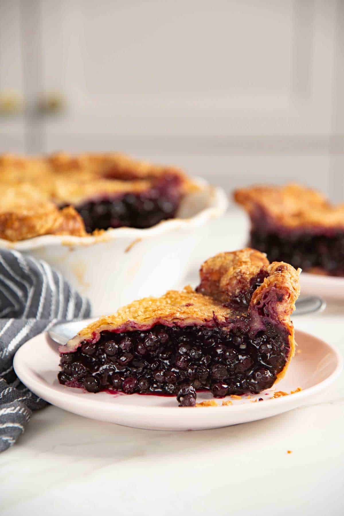 A slice of blueberry pie with a double crust sits on a pink plate, showcasing its golden crust and juicy, dark berry filling.